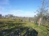 Clicca qui per vedere l'immagine in dettaglio